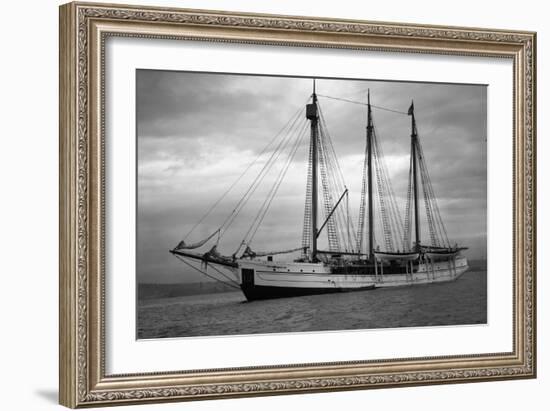 Schooner Great Bear, 1916-Asahel Curtis-Framed Giclee Print