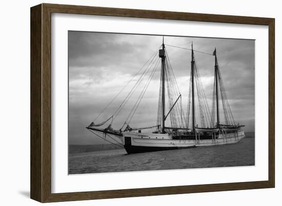 Schooner Great Bear, 1916-Asahel Curtis-Framed Giclee Print