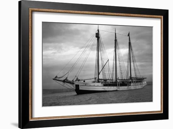 Schooner Great Bear, 1916-Asahel Curtis-Framed Giclee Print