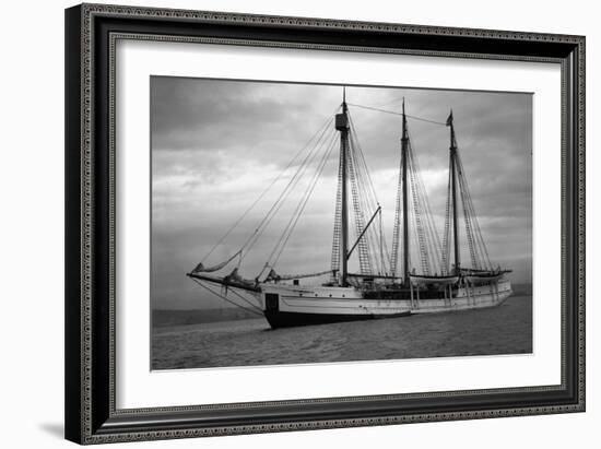 Schooner Great Bear, 1916-Asahel Curtis-Framed Giclee Print