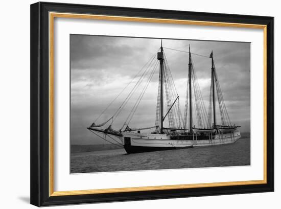 Schooner Great Bear, 1916-Asahel Curtis-Framed Giclee Print