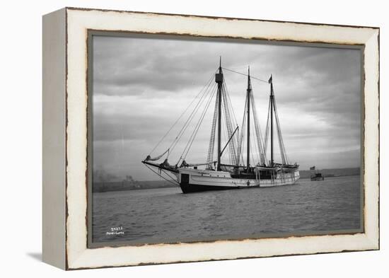 Schooner Great Bear, 1916-Asahel Curtis-Framed Premier Image Canvas