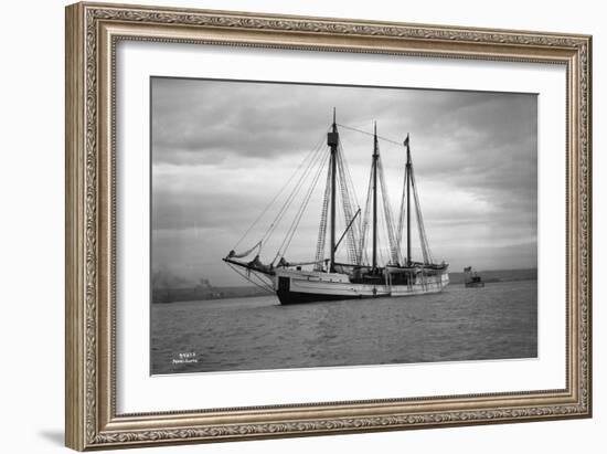 Schooner Great Bear, 1916-Asahel Curtis-Framed Giclee Print