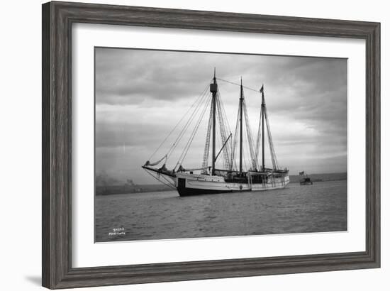 Schooner Great Bear, 1916-Asahel Curtis-Framed Giclee Print