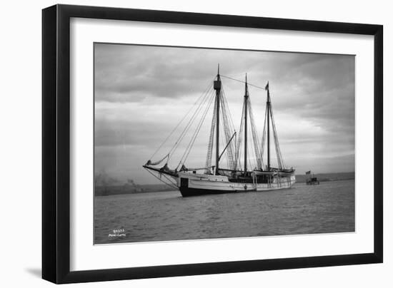 Schooner Great Bear, 1916-Asahel Curtis-Framed Giclee Print