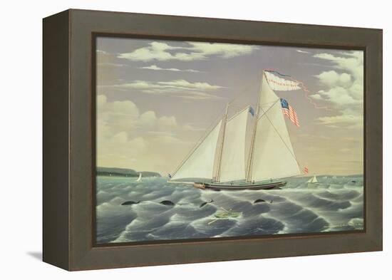 Schooner 'Lewis R. Mackey', 1854-James Bard-Framed Premier Image Canvas