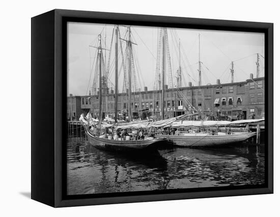 Schooners at the T Wharf-null-Framed Stretched Canvas