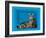 Schrodinger's Cat, Artwork-Victor De Schwanberg-Framed Photographic Print