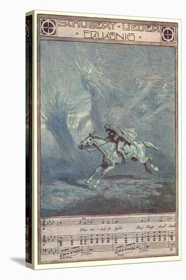 Stretched Canvas Print, , large