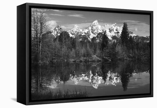 Schwabacher's Landing, Grand Tetons, Grand Teton NP, Wyoming, USA-Michel Hersen-Framed Premier Image Canvas