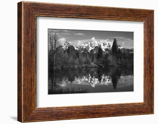 Schwabacher's Landing, Grand Tetons, Grand Teton NP, Wyoming, USA-Michel Hersen-Framed Photographic Print