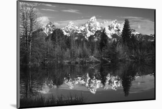 Schwabacher's Landing, Grand Tetons, Grand Teton NP, Wyoming, USA-Michel Hersen-Mounted Photographic Print