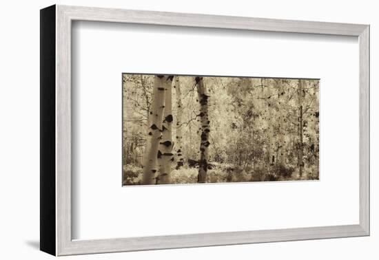 Schwartz - A Wisp of Gold-Don Schwartz-Framed Art Print