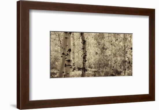 Schwartz - A Wisp of Gold-Don Schwartz-Framed Art Print