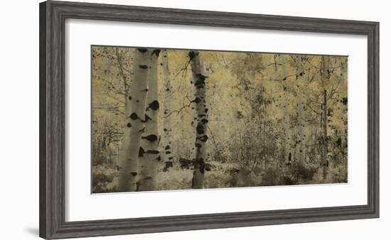 Schwartz - A Wisp of Gold-Don Schwartz-Framed Art Print