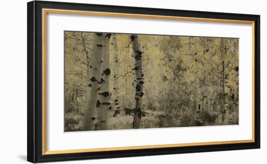 Schwartz - A Wisp of Gold-Don Schwartz-Framed Art Print