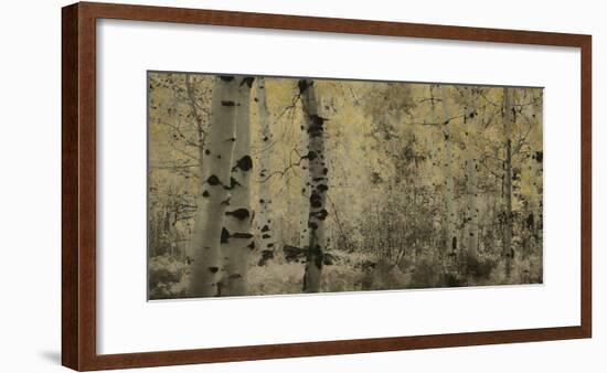 Schwartz - A Wisp of Gold-Don Schwartz-Framed Art Print