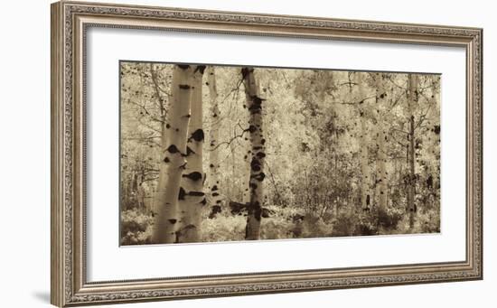 Schwartz - A Wisp of Gold-Don Schwartz-Framed Art Print