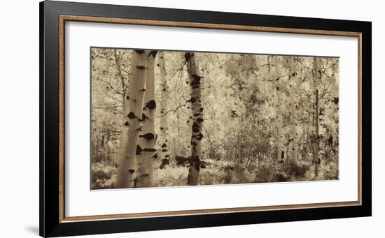 Schwartz - A Wisp of Gold-Don Schwartz-Framed Art Print