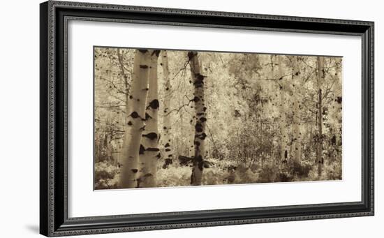 Schwartz - A Wisp of Gold-Don Schwartz-Framed Art Print