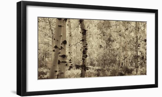 Schwartz - A Wisp of Gold-Don Schwartz-Framed Art Print