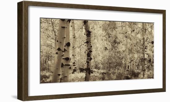 Schwartz - A Wisp of Gold-Don Schwartz-Framed Art Print