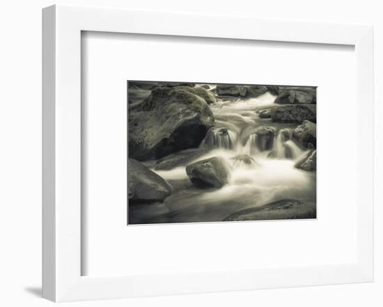 Schwartz - Blue Flowing-Don Schwartz-Framed Premium Giclee Print