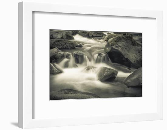 Schwartz - Blue Flowing-Don Schwartz-Framed Premium Giclee Print