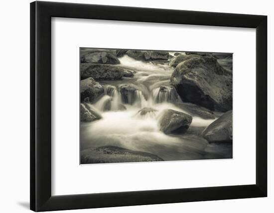 Schwartz - Blue Flowing-Don Schwartz-Framed Premium Giclee Print