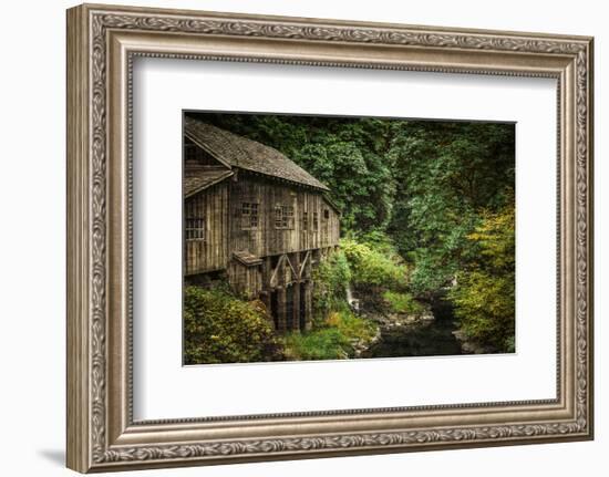 Schwartz - Cedar Creek Grist Mill-Don Schwartz-Framed Premium Giclee Print