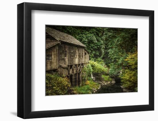 Schwartz - Cedar Creek Grist Mill-Don Schwartz-Framed Premium Giclee Print