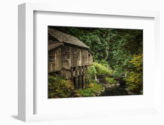 Schwartz - Cedar Creek Grist Mill-Don Schwartz-Framed Premium Giclee Print