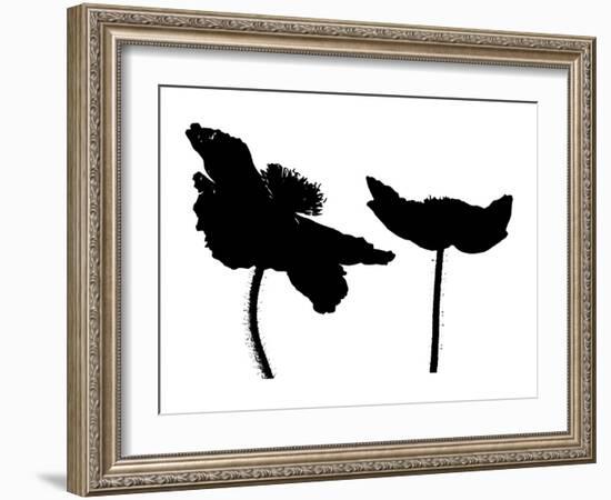 Schwartz - Dance of the Poppies-Don Schwartz-Framed Art Print