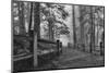 Schwartz - Down the Misty Path-Don Schwartz-Mounted Art Print