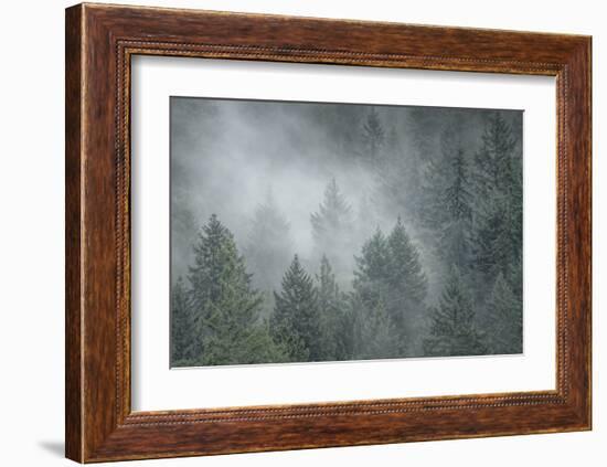 Schwartz - Draped in Clouds-Don Schwartz-Framed Art Print