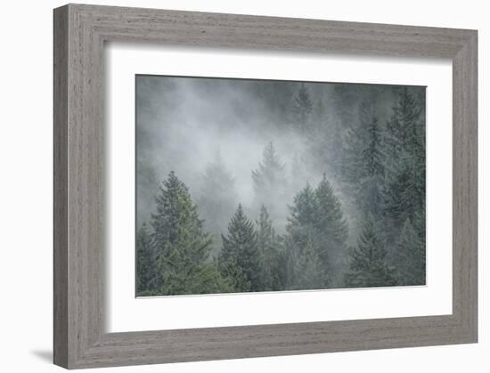 Schwartz - Draped in Clouds-Don Schwartz-Framed Art Print