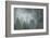 Schwartz - Draped in Clouds-Don Schwartz-Framed Art Print