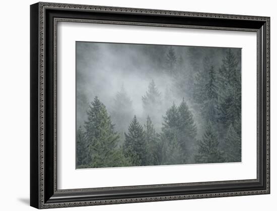 Schwartz - Draped in Clouds-Don Schwartz-Framed Art Print