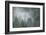 Schwartz - Draped in Clouds-Don Schwartz-Framed Art Print