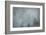 Schwartz - Foggy Pines-Don Schwartz-Framed Art Print