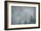 Schwartz - Foggy Pines-Don Schwartz-Framed Art Print