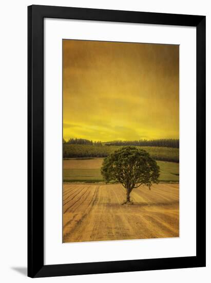 Schwartz - Lone Tree at Sunset-Don Schwartz-Framed Art Print