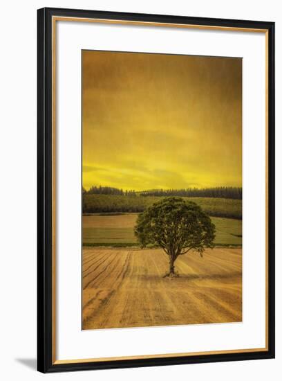 Schwartz - Lone Tree at Sunset-Don Schwartz-Framed Art Print