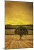 Schwartz - Lone Tree at Sunset-Don Schwartz-Mounted Art Print