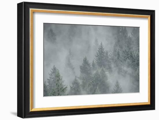 Schwartz - Misty Mood-Don Schwartz-Framed Art Print