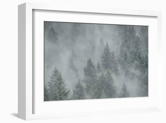 Schwartz - Misty Mood-Don Schwartz-Framed Art Print