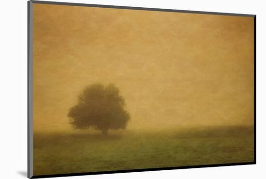 Schwartz - Silent and Still-Don Schwartz-Mounted Art Print