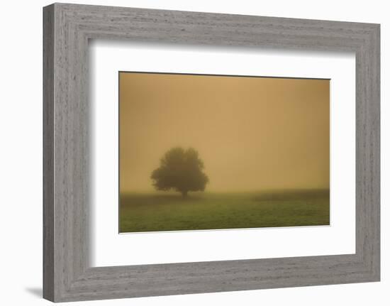 Schwartz - Silent and Still-Don Schwartz-Framed Premium Giclee Print