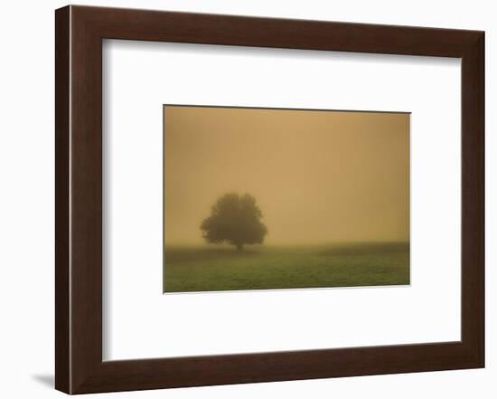 Schwartz - Silent and Still-Don Schwartz-Framed Premium Giclee Print