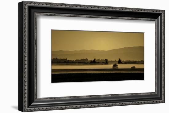 Schwartz - Soft Blanket of Fog-Don Schwartz-Framed Art Print